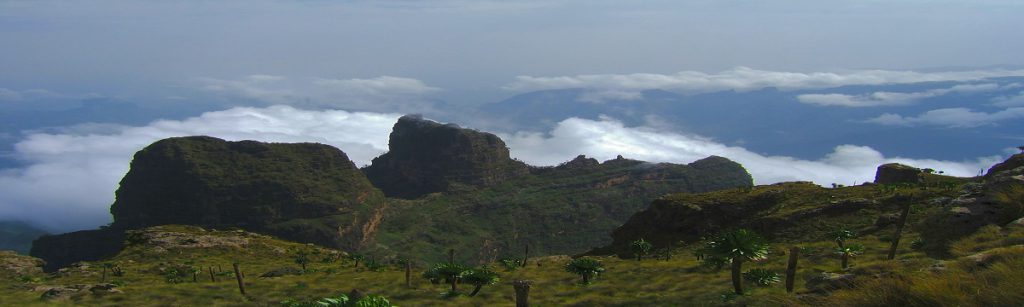 Trekking in Semein