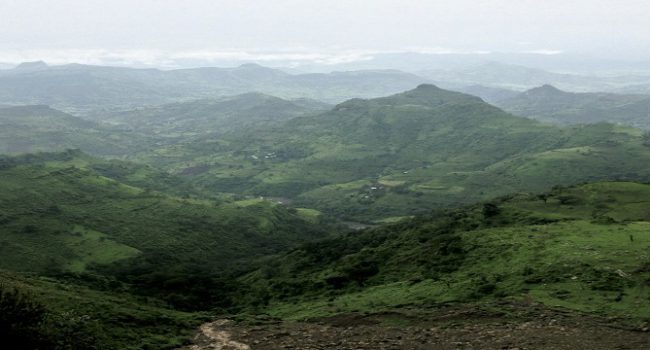 Bale Mountain National Park