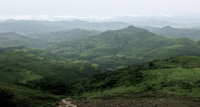 Bale Mountain National Park