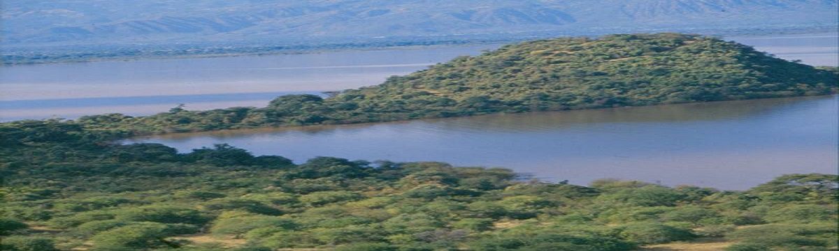 Chamo and Abaya Lakes