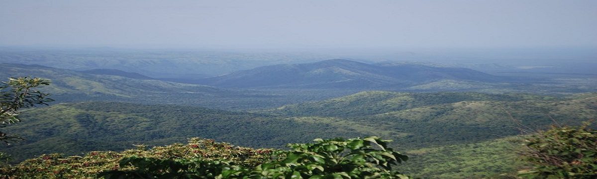 Mago National Park