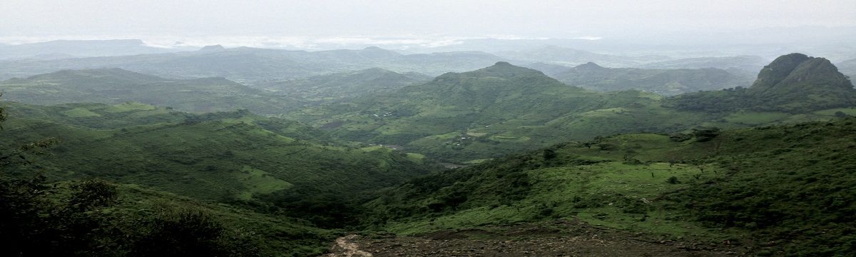 Bale Mountain National Park